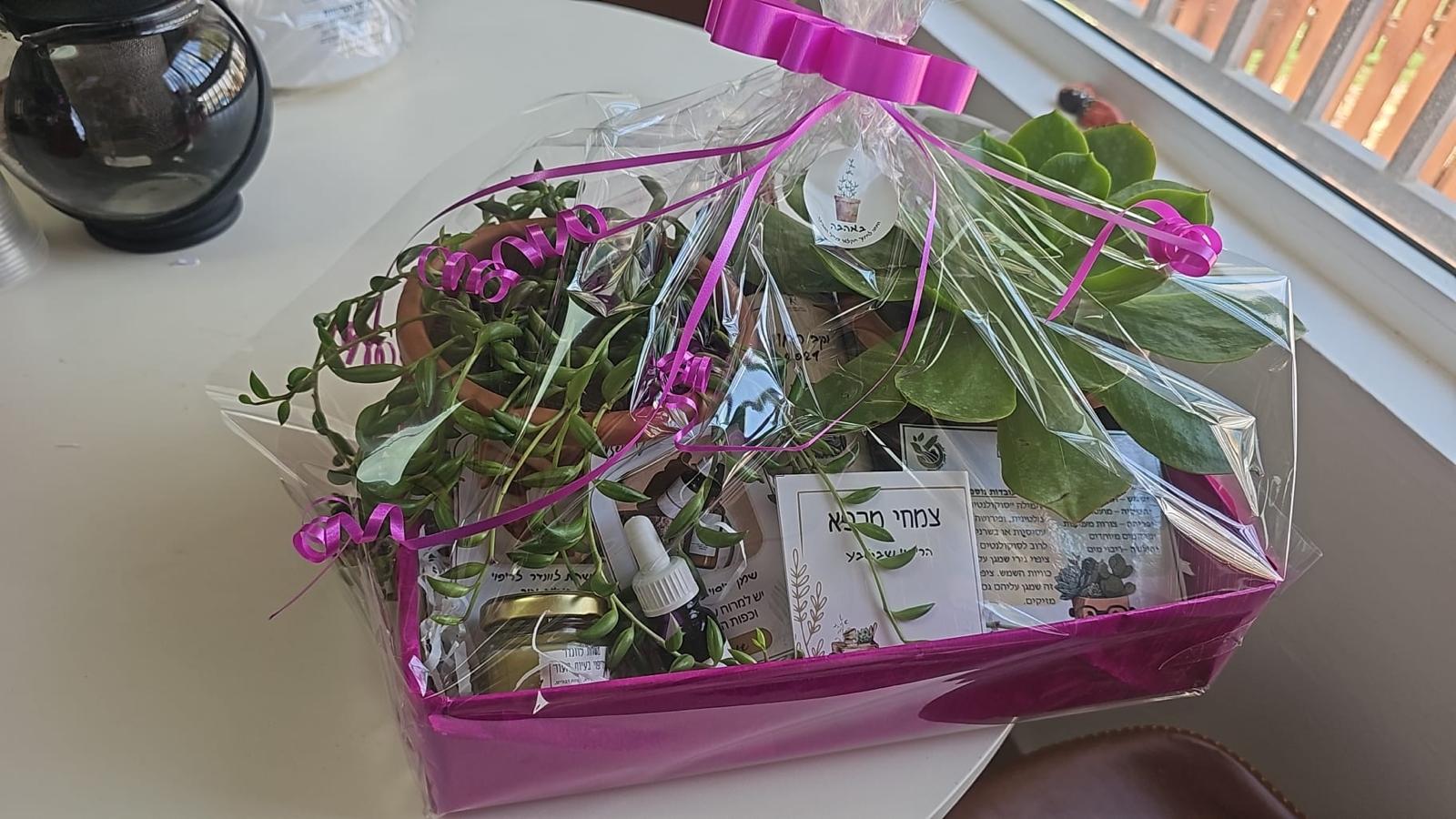 מארז מתנה גדול בסל ורוד עם עציצים ומוצרי טיפוח